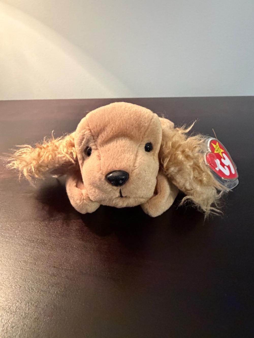 NWT Ty Beanie Baby Spunky the Cocker Spaniel Dog Retired Collectible Vintage